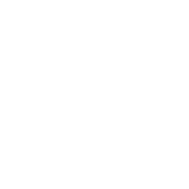 Niti Resik